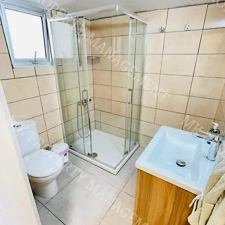 公寓 Milos Center Apts No.34 拉纳卡